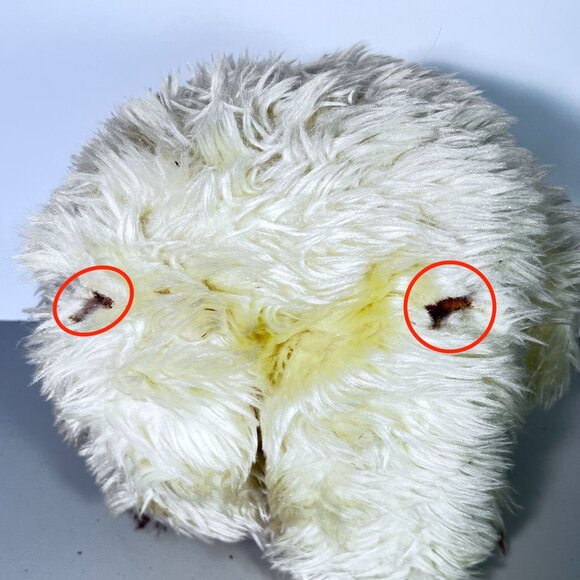 Vintage White & Brown 16" Shaggy Teddy Bear Plush Blue Eyes Needs Repair - Picture 8 of 8